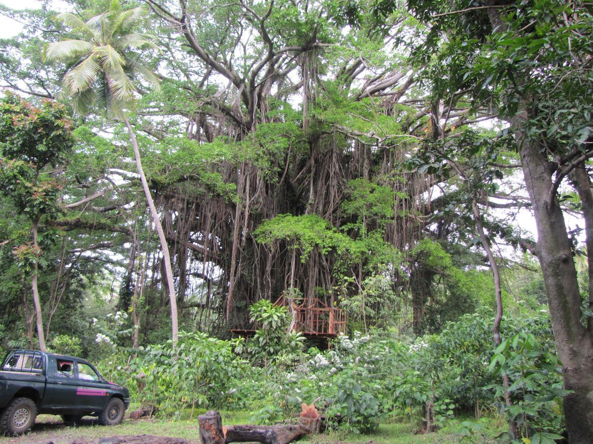 Yasur View Bungalows Loanengo ภายนอก รูปภาพ